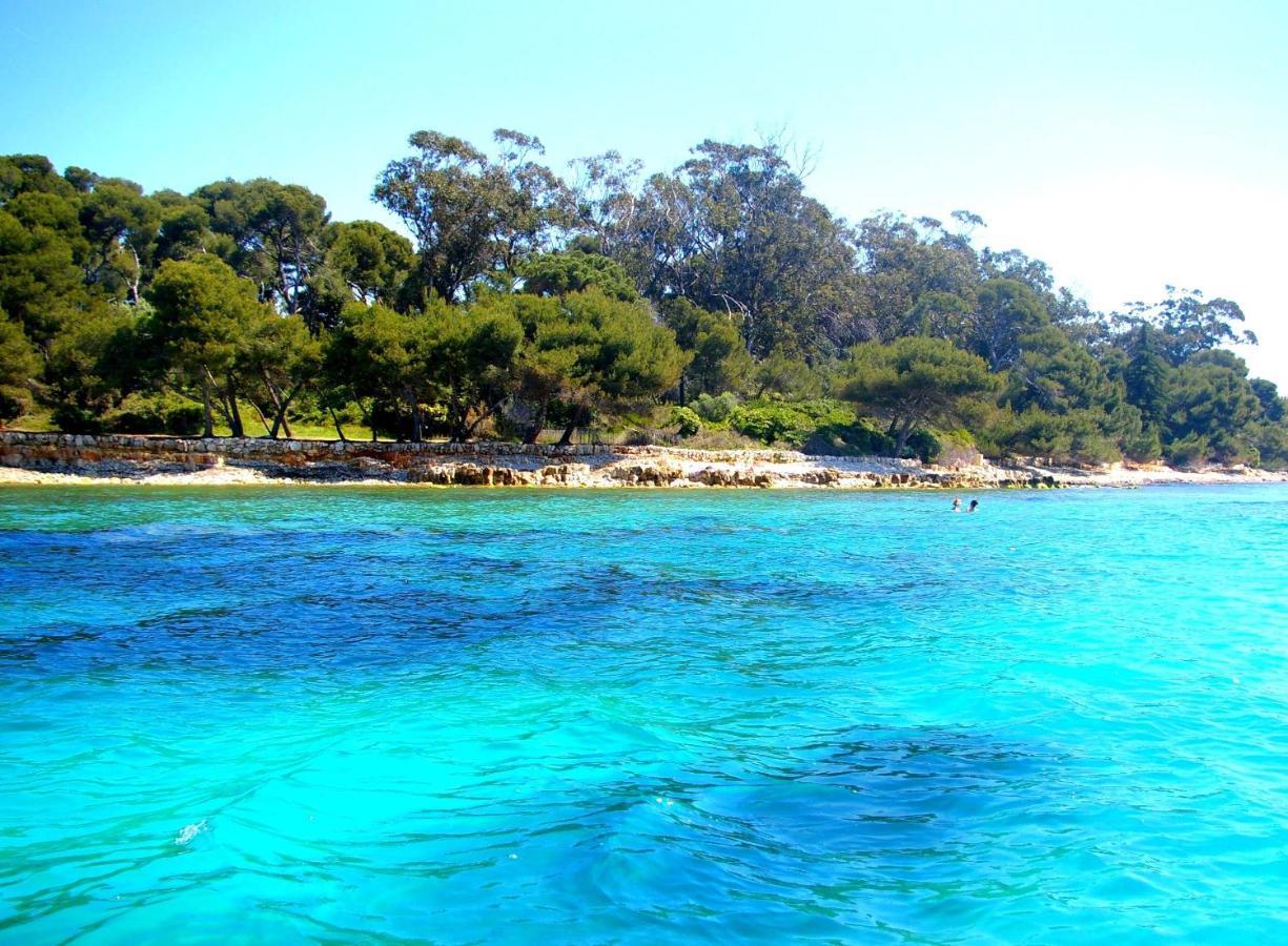 Magnifique "Gite De La Garoupe" Au Cap D'Antibes A 300M Des Plages Buitenkant foto